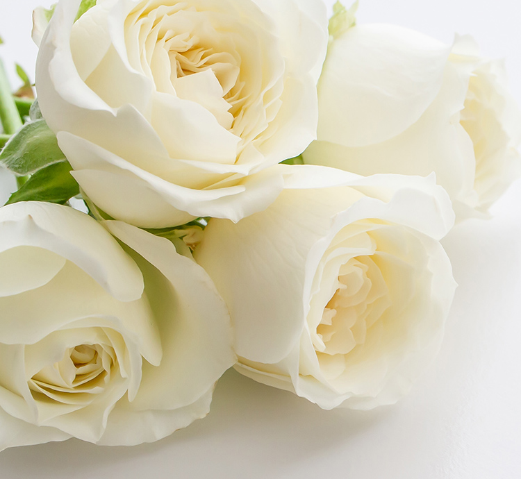 協会理念のイメージ画像 白いバラの花束の写真